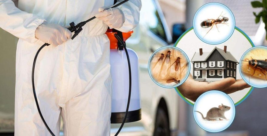 Döşemealtı Böcek İlaçlama