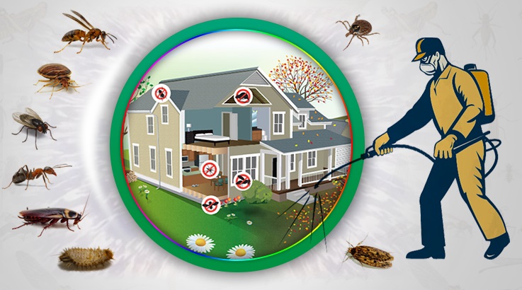 Döşemealtı Böcek İlaçlama