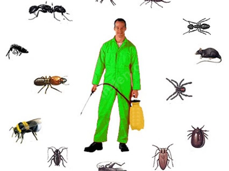 Döşemealtı Böcek İlaçlama