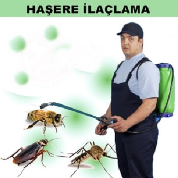 Döşemealtı Böcek İlaçlama